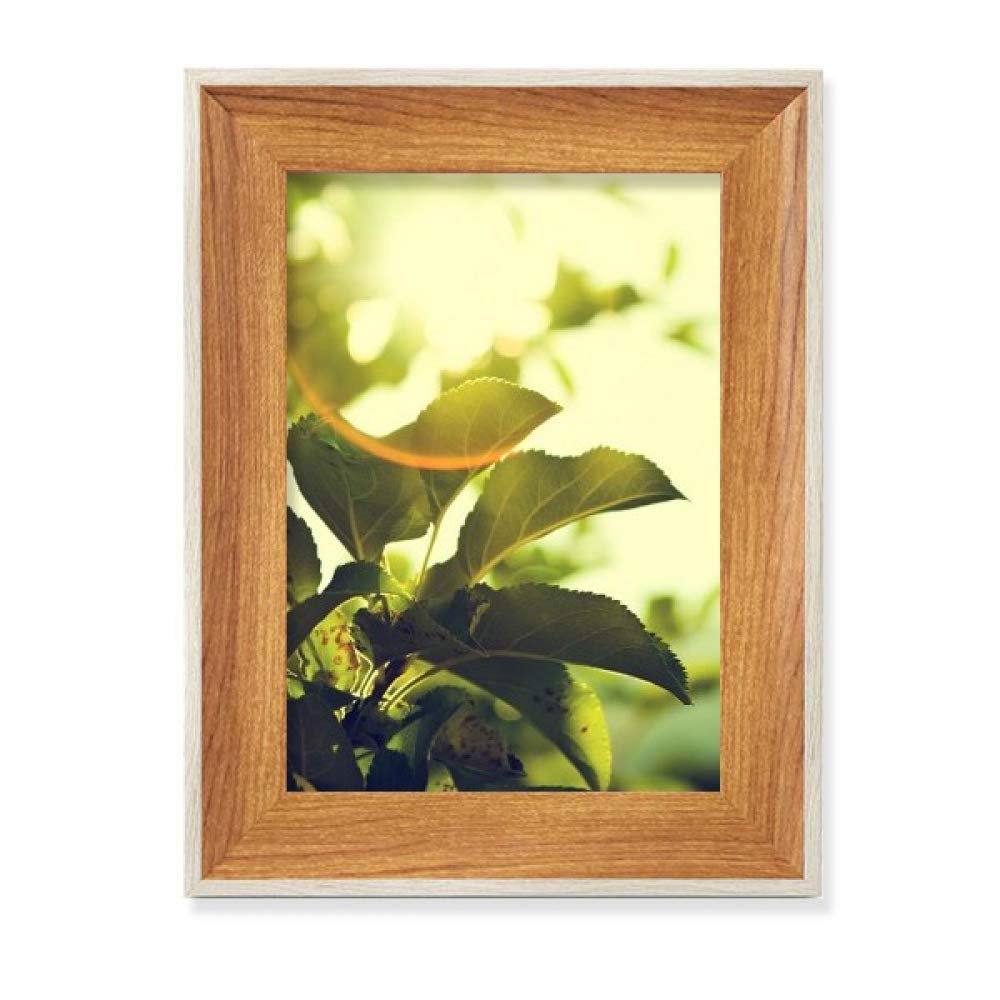 Cadre de photo en bois de bureau au design art nature premium