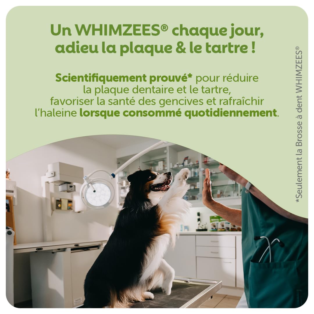 WHIMZEES Hérisson L, 6 Pièces – Taille L, Friandises pour Chiens de Grande Taille, Naturelles & sans Céréale, Végétariennes, sans Sucre Ajouté