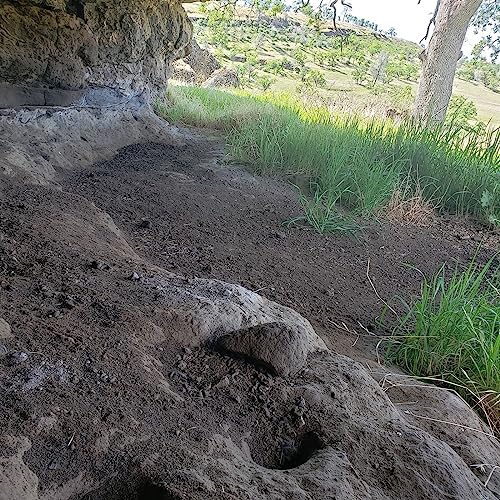 Season 1 Episode 3: Tastes Like Chicken