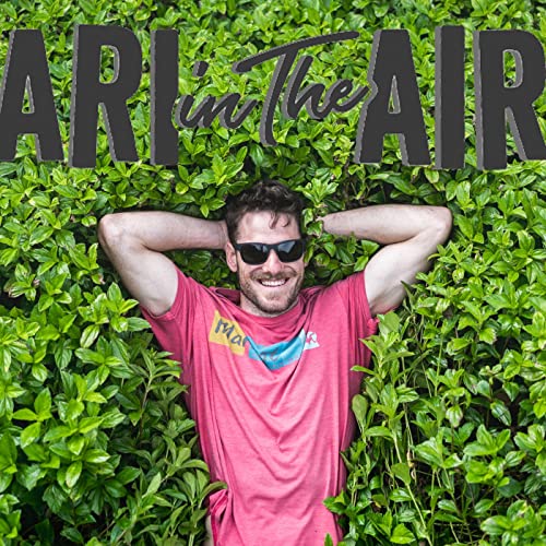 『Ari in the Air』のカバーアート