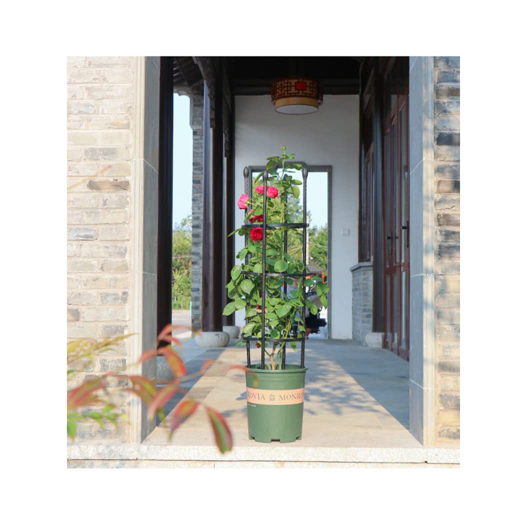 Stainless Steel Garden Obelisk Trellis for Climbing Plants Durable Flower Support with Easy Assembly Heat Resistant Plant Support Black Plastic Coated 20 * 120cm/7.8 * 47.2in