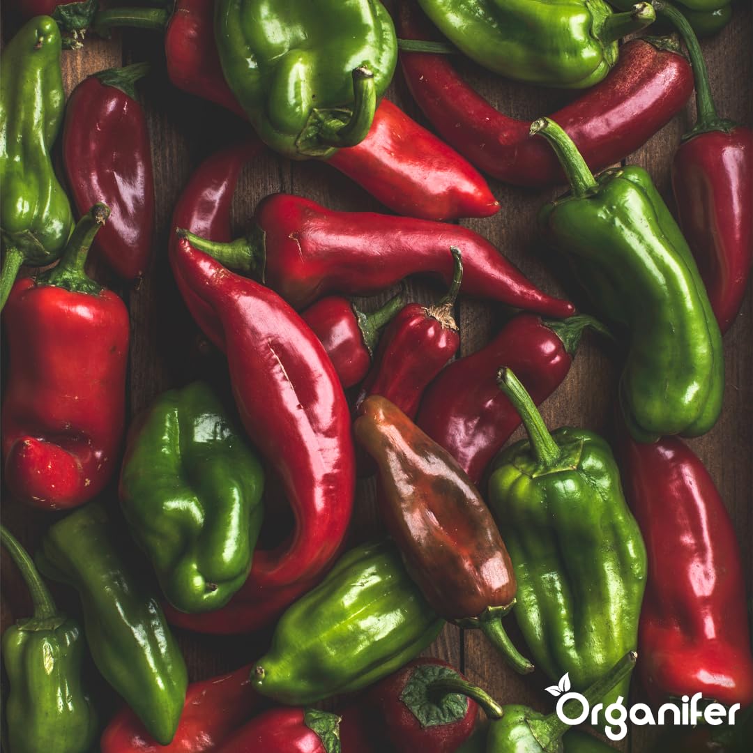 Flüssigdünger Für Pfeffer - 10L - NPK 2-1-8 | Dünger Für Kräftiges Wachstum Und Reichtragende Ernte - Fördert Blüte Und Wurzeln - Organifer