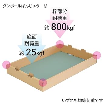 Amazon.co.jp: yamapac ダンボールばんじゅう（番重） M (本体