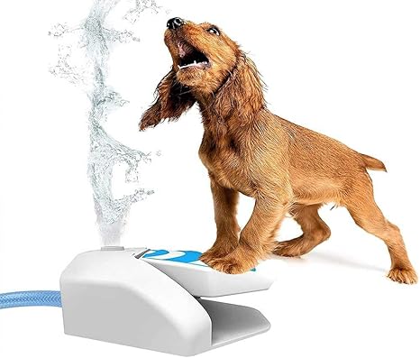 Amazon Co Jp 犬のスプリンクラーの足で活性化された飲酒 生活に適したペット犬の活性化された噴水スプリンクラーのおもちゃ 犬のための飲用と水遊びのためのステップオンホースアタッチメント ペット用品