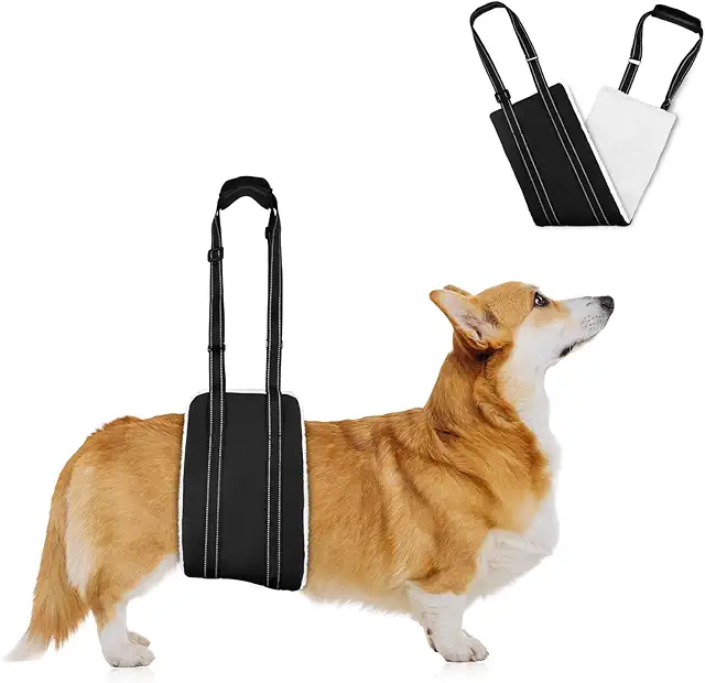 Arnés Ortopédico para Perros Patas Traseras - Soporte Ajustable para Mascotas Mayores y Discapacitadas