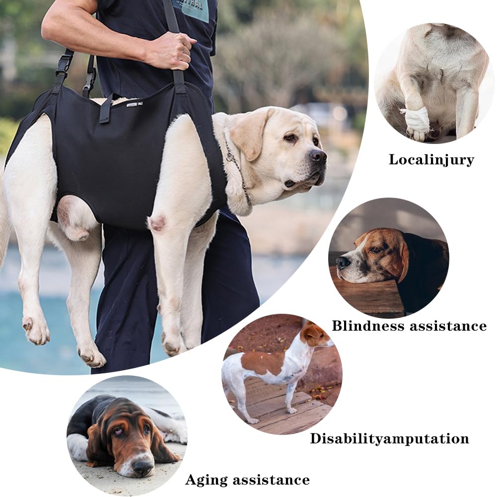 Umllpet Dog Carrying Aid, Carrying Aid, Dog Stairs, Portable Dog Harness - Image 4