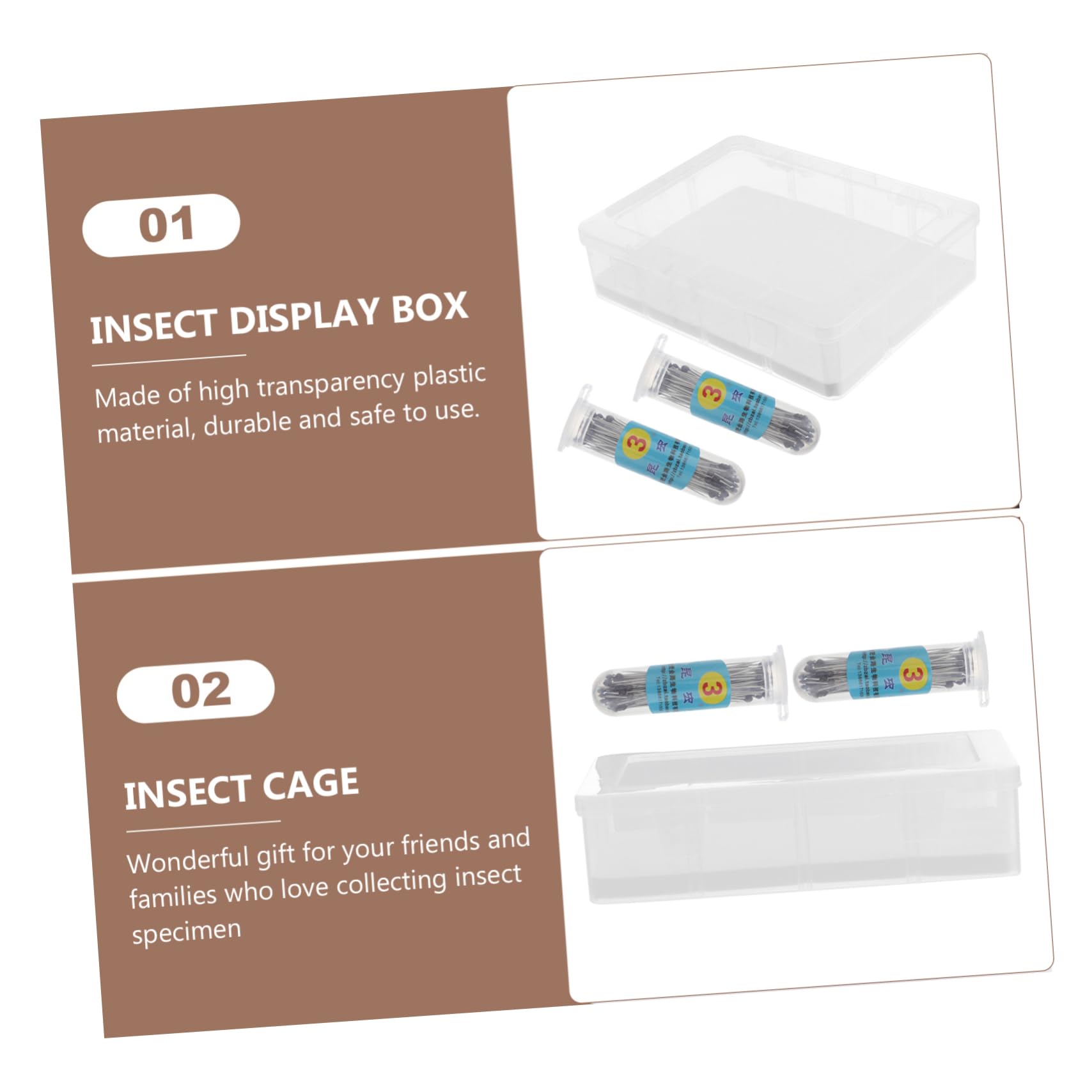 Veemoon 1ensemble Boîte à Spécimens Transparent Kit Affichage Pour Plantes Et Insectes Avec Couvercle Pour Entomologie Collection De Plantes
