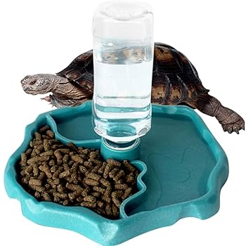 爬虫類　水 エサ入れ　21 爬虫類 水 エサ入れ 21