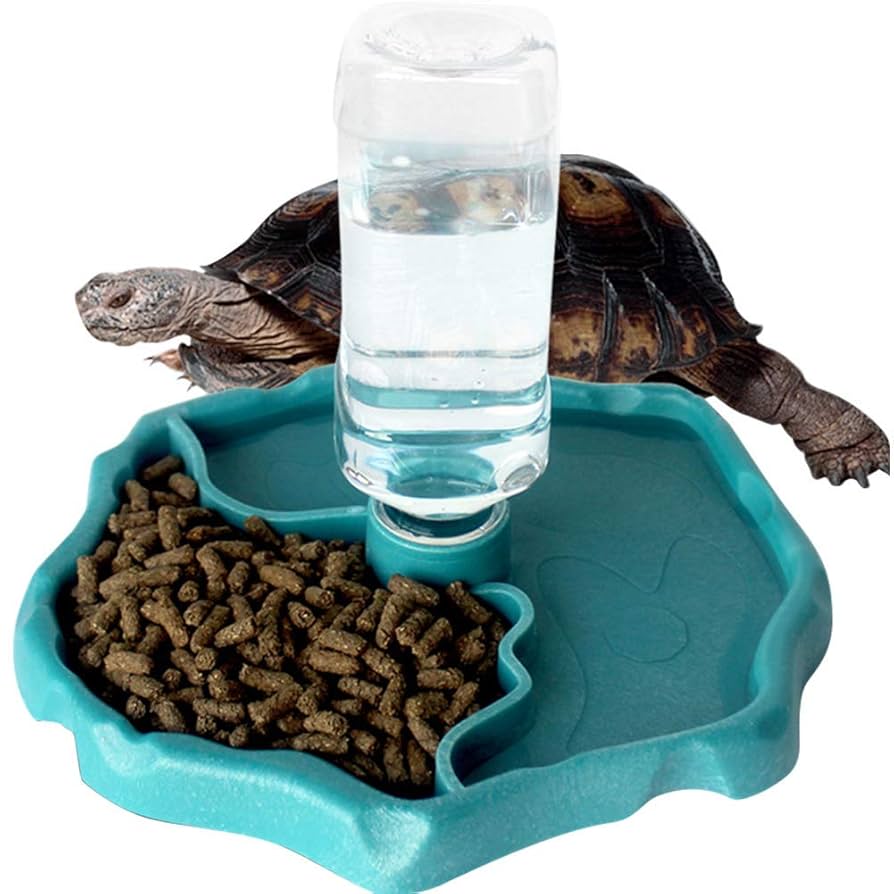 Amazon | IKENOKOI爬虫類 食器 自動給水 餌入れ 水入れ 亀