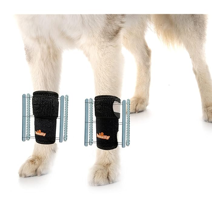 Buy NeoAlly 3In1 Dog Front Leg Splint Braces for Support