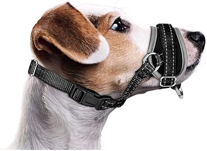 pitbull muzzles amazon