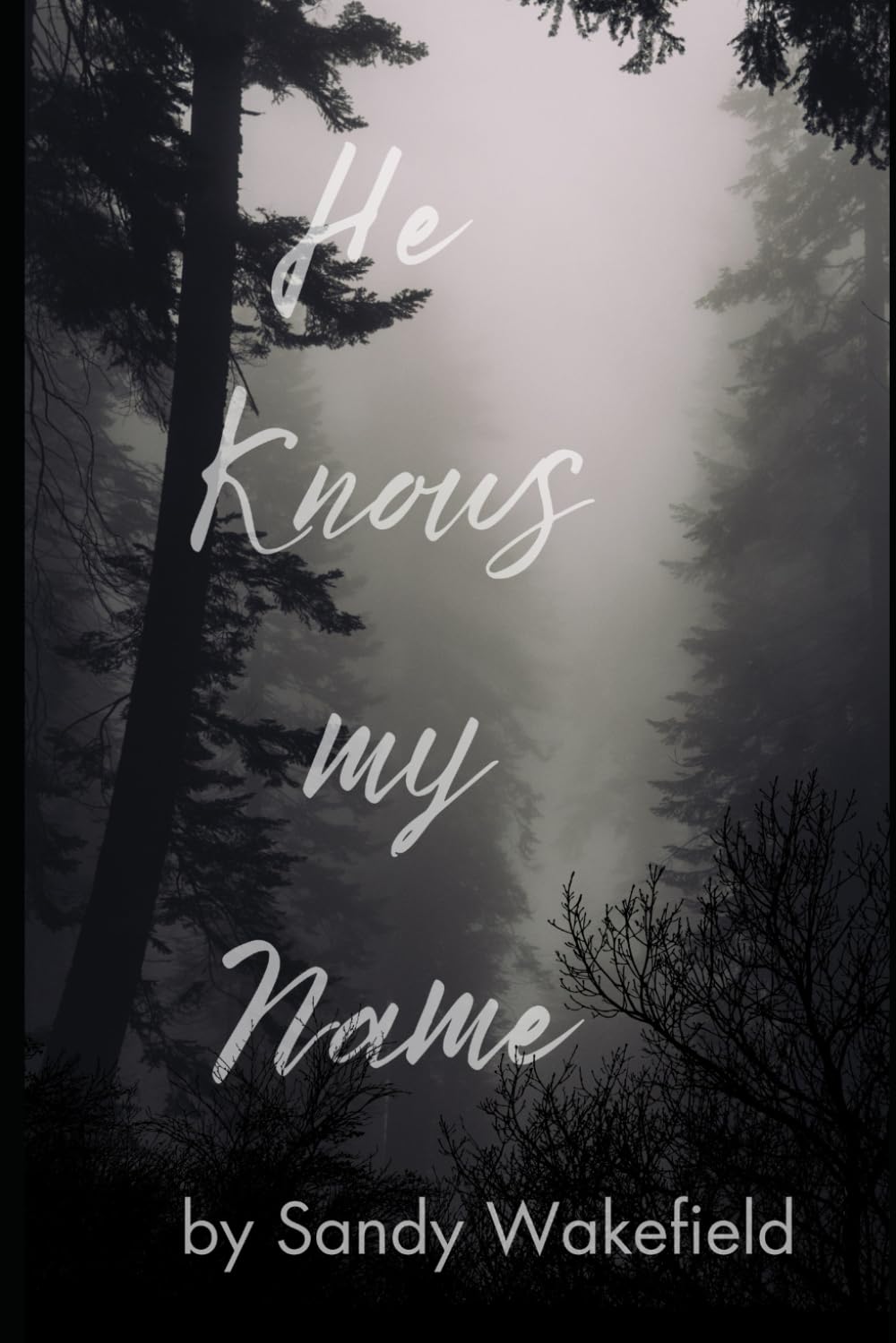 He Knows My Name: A Daily Devotional for a daily walk with Jesus Christ