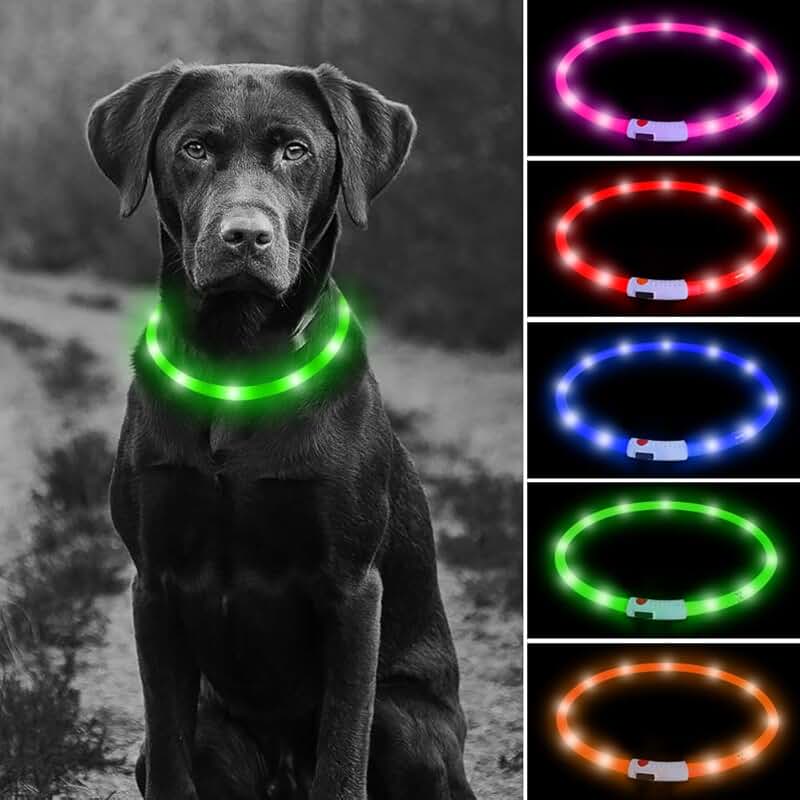 dog lights for night walking