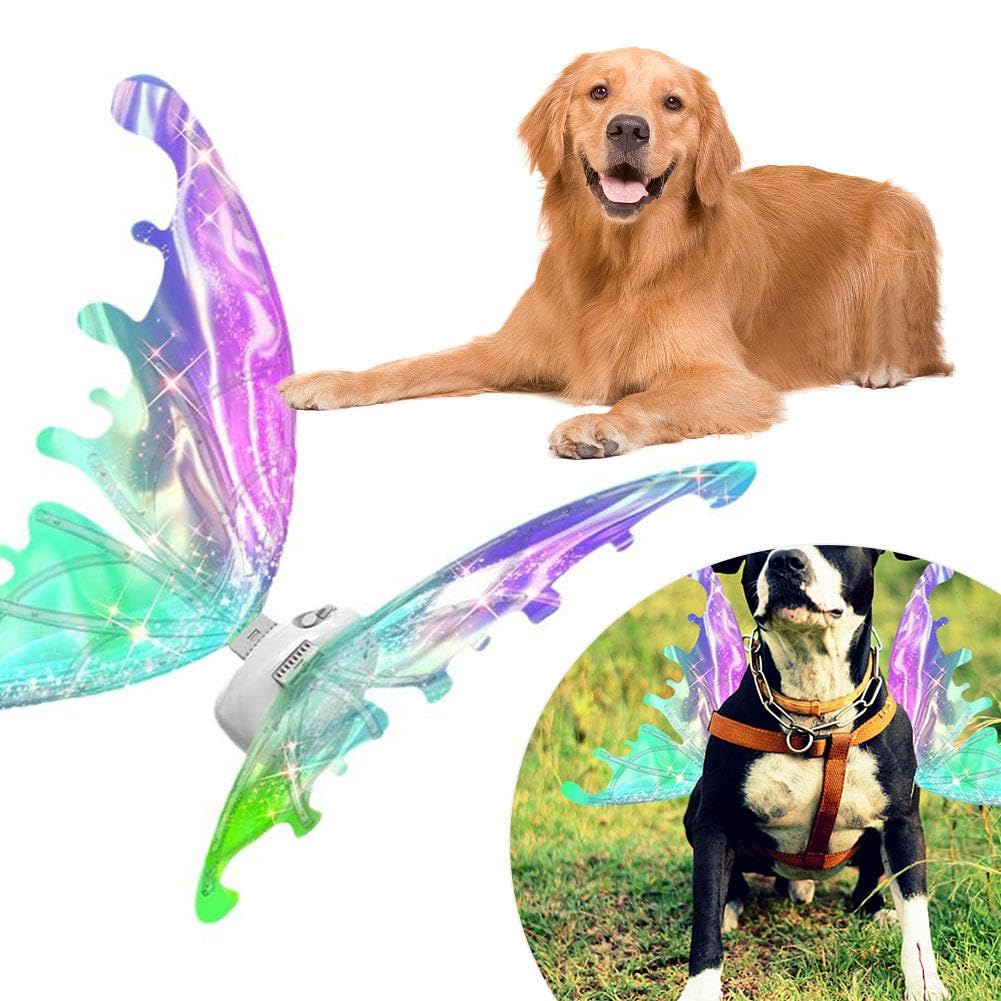 Ali di farfalla a LED per cani, ali incandescenti con luci a LED e musica, elfo con musica per bambini, ali luminose