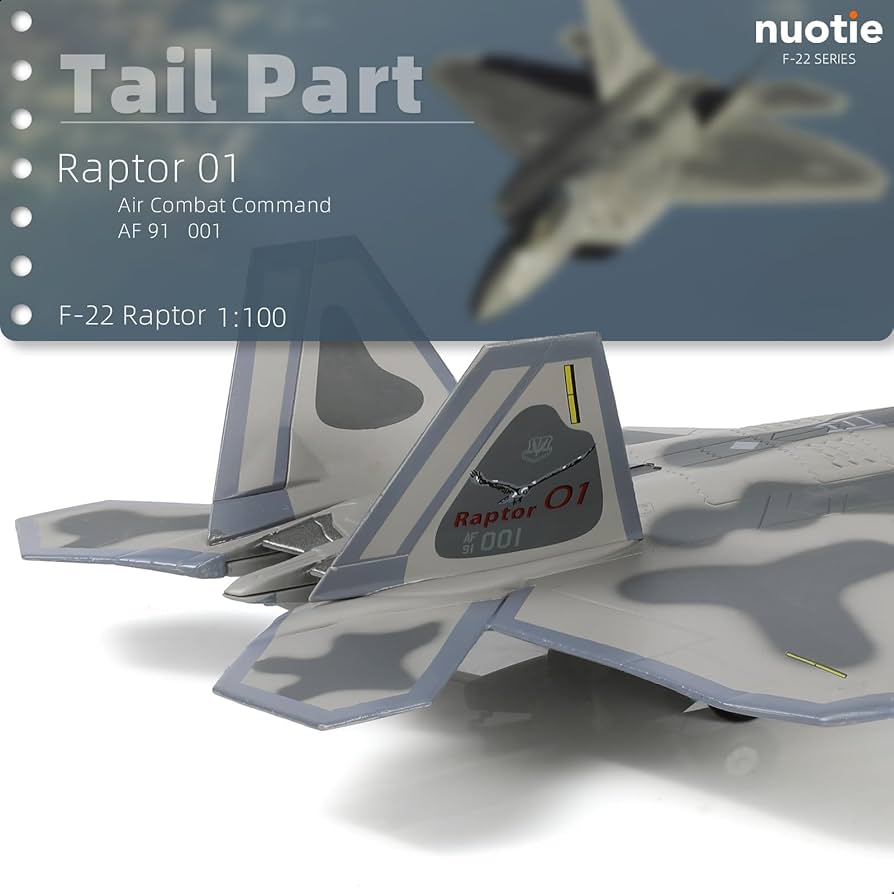 Amazon.com: NUOTIE 1/100 F-22 Raptor Jet Fighter Model