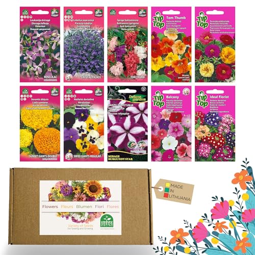Nojus - Lot de graines de fleurs - Graines de fleurs 10 variétés - Graines de fleurs de balcon - Graines de plantes colorées - 10 paquets - Graines de...