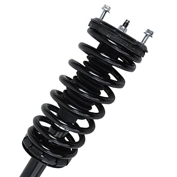 Amazon.com: Detroit Axle - Rear Struts for 1995-1999 Nissan