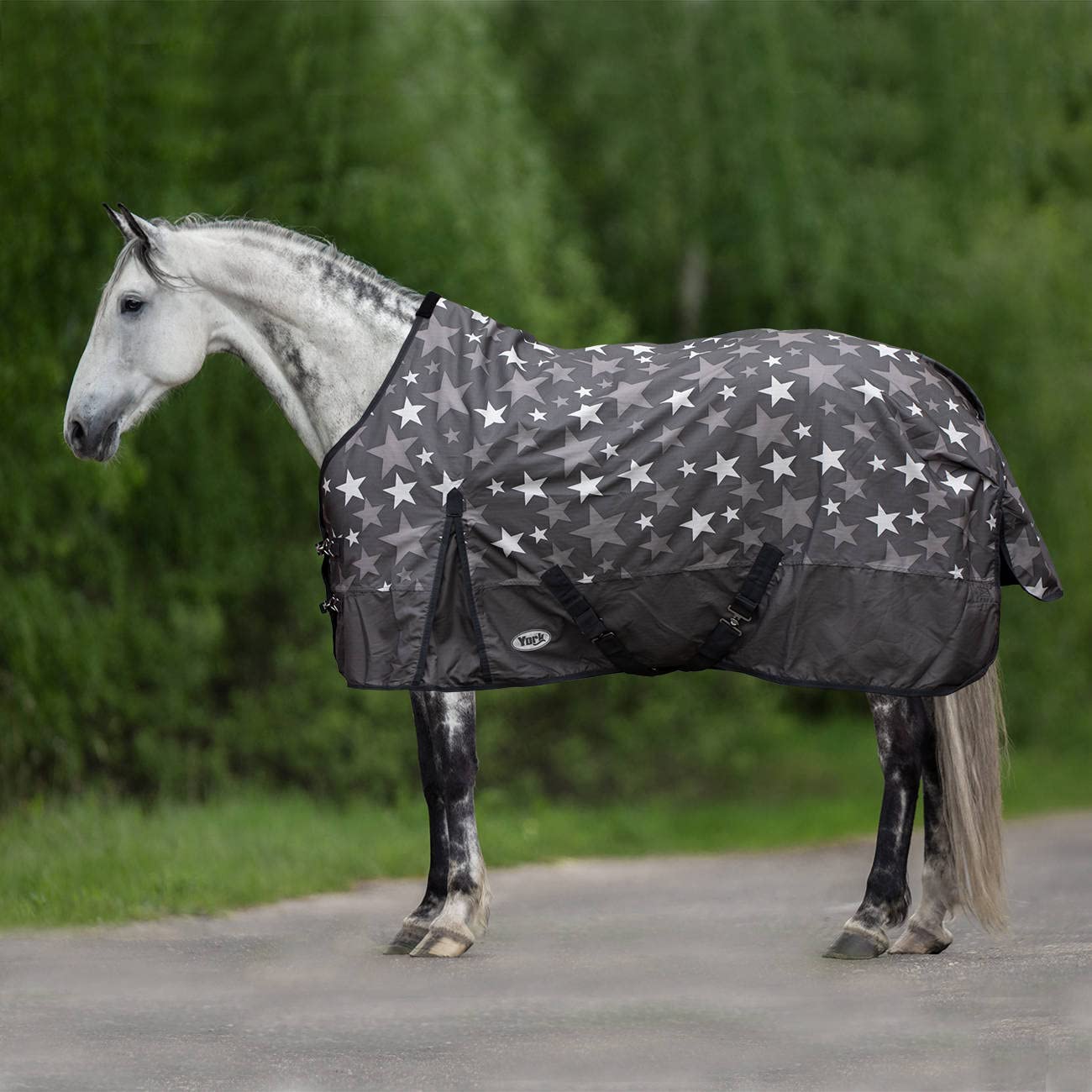 York Pferdedecke Regendecke Weidedecke Outdoordecke Night Sky (105 cm)