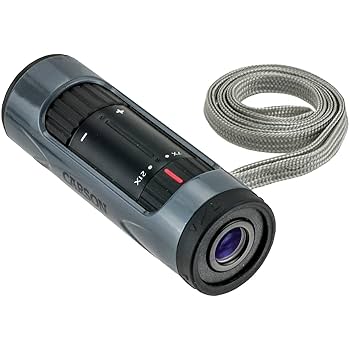 619uPRRmq5L._UF350,350_QL80_.jpg