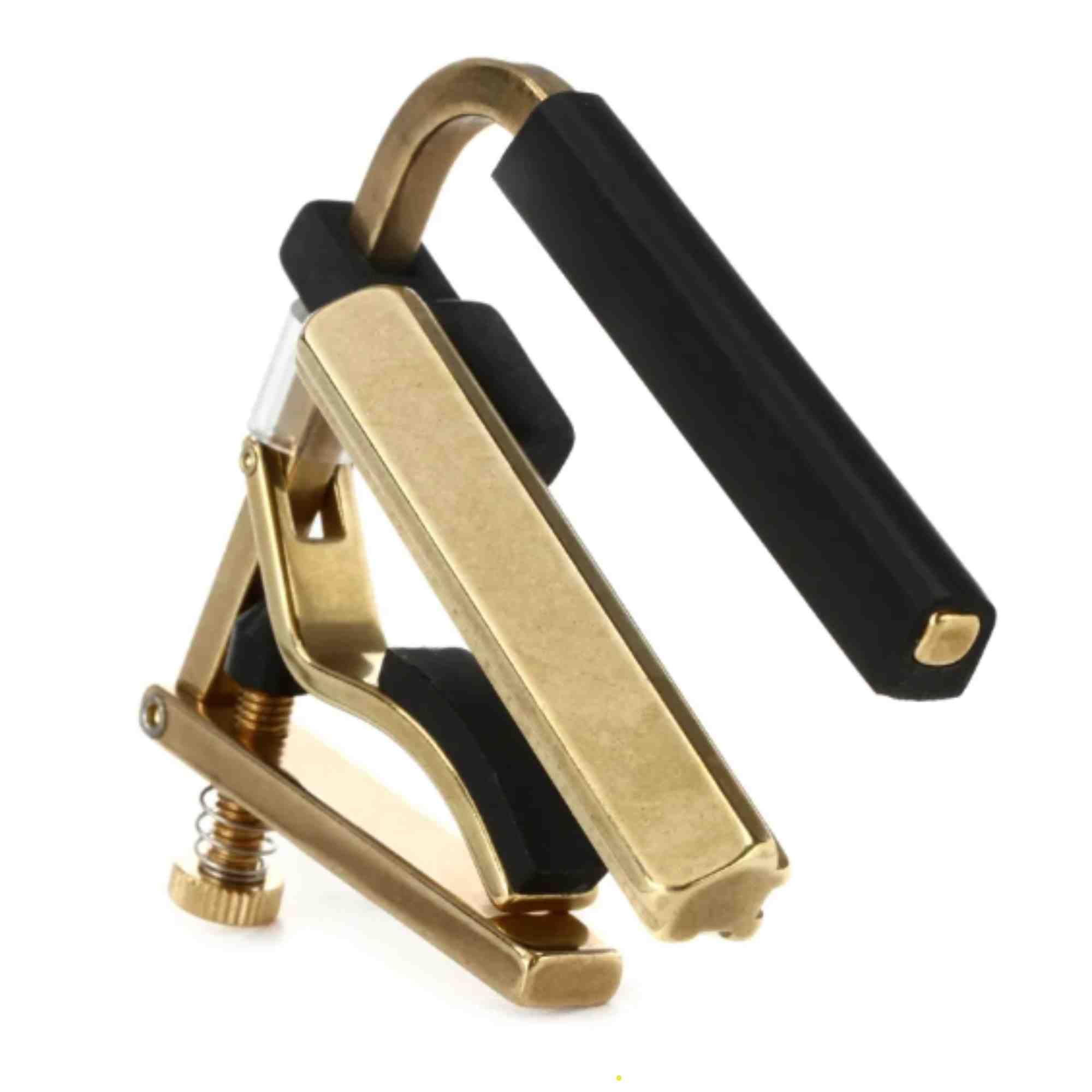 Shubb C6B Dobro Capo (japan import)