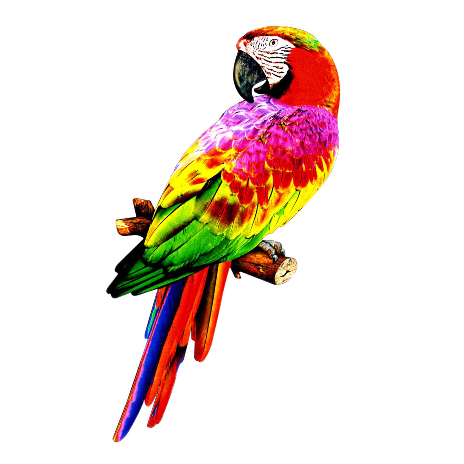 PANGBOER 4 statuette da parete in metallo da 38 cm con uccellini colorati da appendere per interni ed esterni