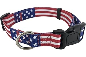 Top Gun Dog Collar: Patriotic Pride in Every Stitch