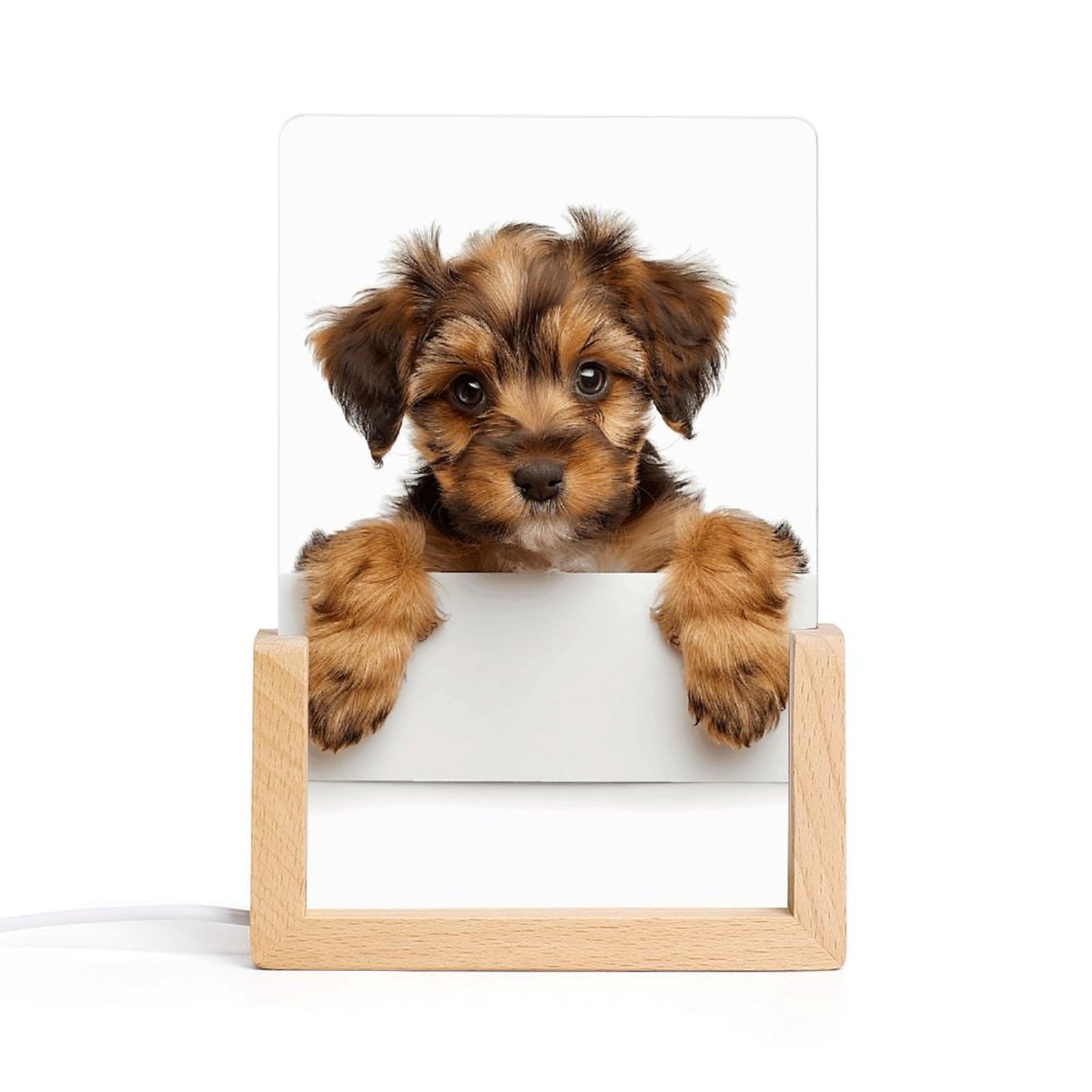 JTREHY Acrylic Night Light,Small Brown Dog Printed Wooden Base LED Night Light Modern Home Decoration Light with USB Switch Cable for Bar Cafe Bedroom Room Decoration