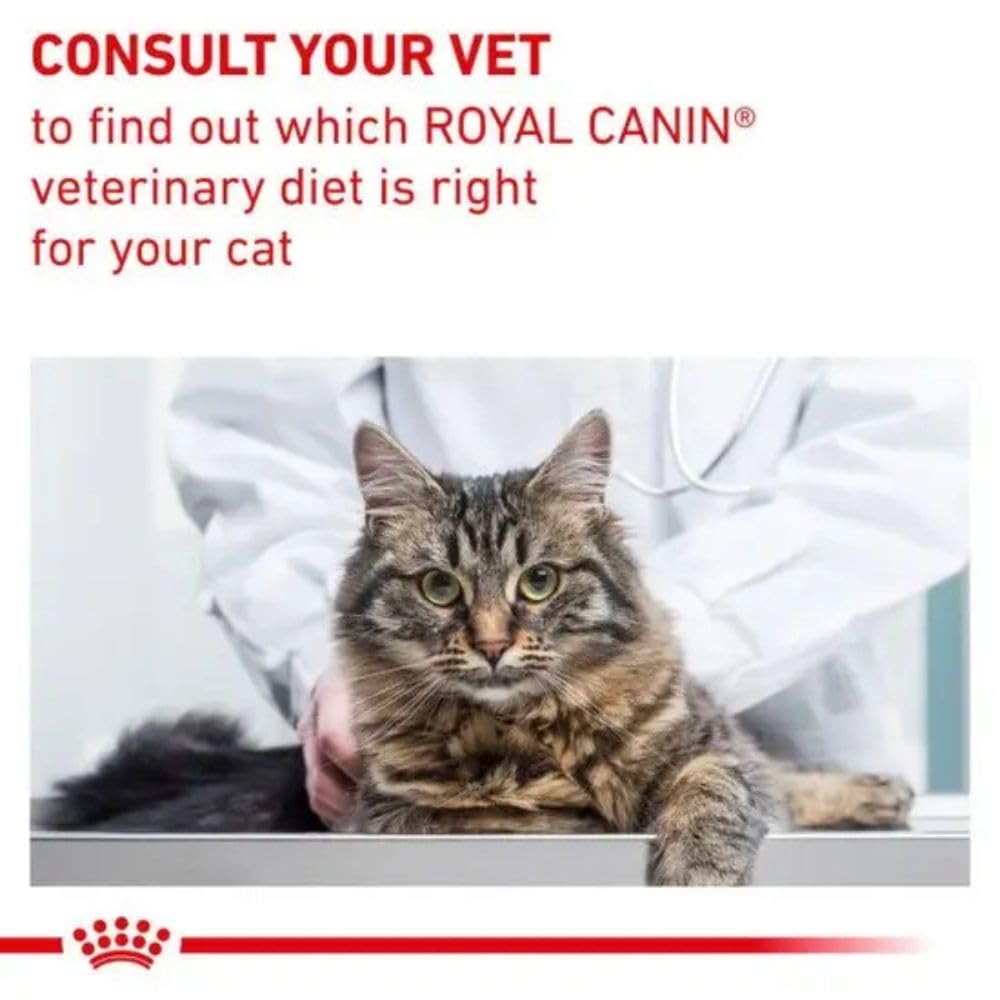 Royal Canin Senior Consult Stage 1 3.5 kg