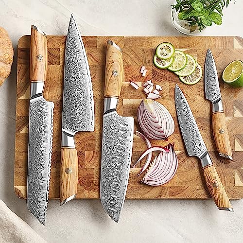 Set Cuchillos Cocina 5 Piezas Acero Inox Base