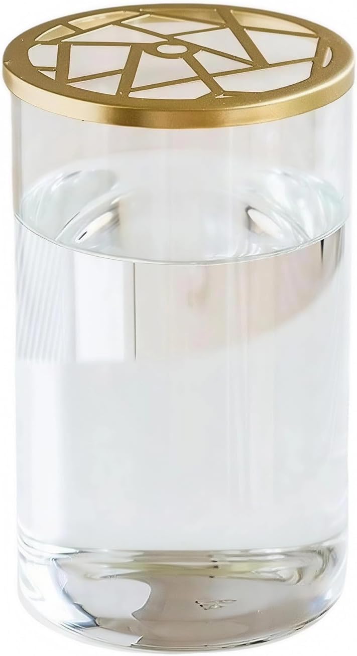 Glass Cylinder Vase with Mesh Grid Lid Transparent Flower Vases Desktop Ornaments Propagation Station Plant Holder for Home Wedding Decor (Mesh Grid, 12 x 20 cm)