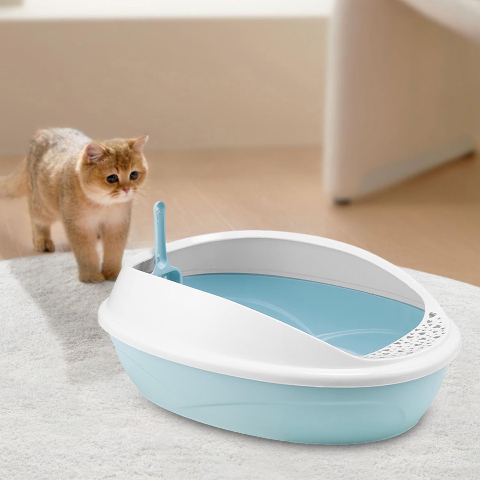 Lettaia, Lettiera for Gatti con Coperchio Aperto