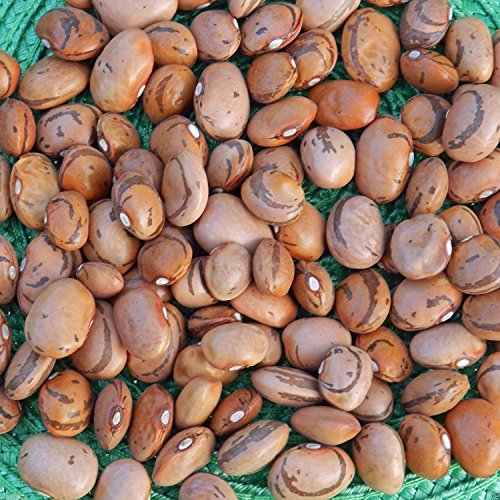 Ojo de la cabra Bean, también sabe como, Ojo de la cabra B, No-GMO, herencia, 100 semillas
