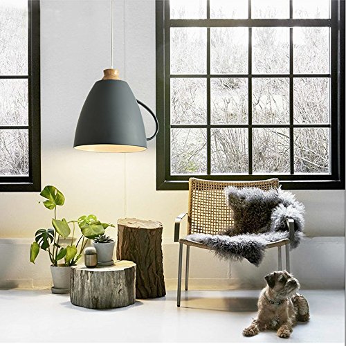 Plafonnier modélisation fer forgé et sa suspension durable haut de gamme - 7