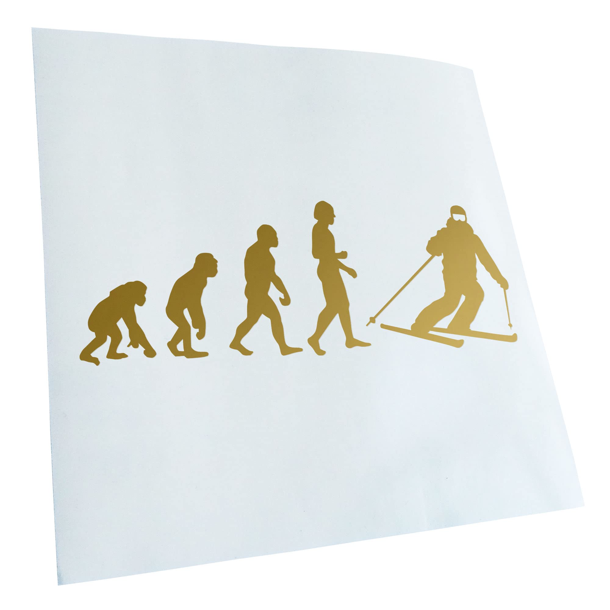 Kiwistar - Car Sticker - Gold - 30 x 11 cm Evolution Skiing - Rear Window Car Sticker Weatherproof for Car Truck Moped Truck - Sticker Exterior Self-Adhesive Tuning Accessories for Windows