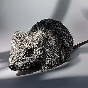 Amazon.com: 4 Inch Realistic Fake Rat Prank - Funny Handcrafted Real ...