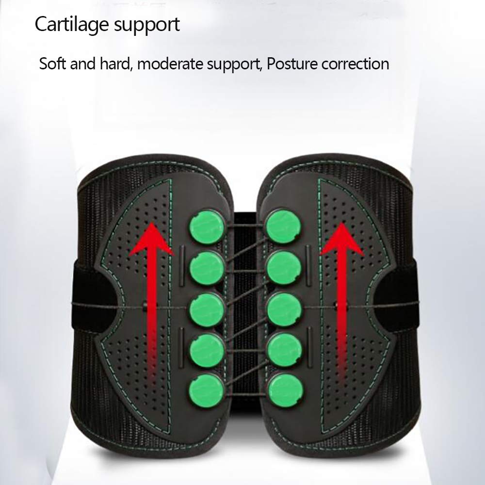 Faja Lumbar Fitness - Soporte Lumbar con Correas de tracción de compresión Fuerte de Doble Banda - para el Alivio del Dolor Lumbar - Tracción de polea,S