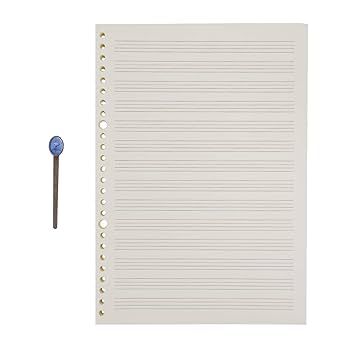 らルイ⑤Ⅴ大きいサイズ27g ⑤Ⅴ小さいサイズ8g レフィル Amazon.co.jp: リフィル ルーズリーフ 両面 詰め替え 英語罫線