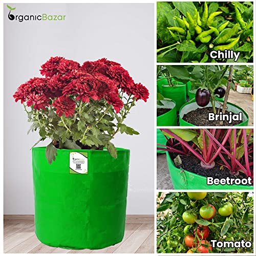 ORGANIC BAZAR 12"x12" Grow Bag for Home Garden | HDPE 260 GSM Premium Green Planter (Pack of 10)