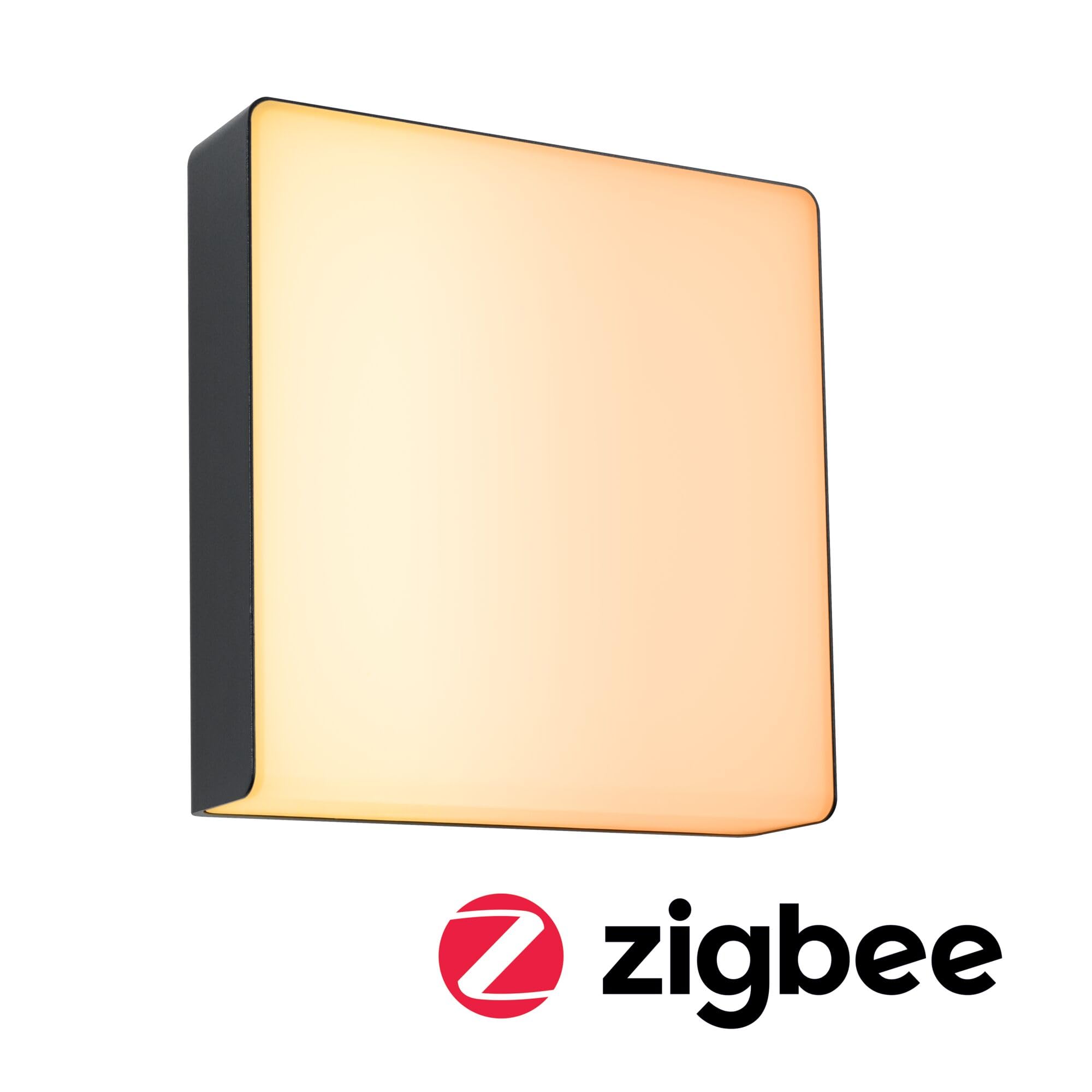 Paulmann 94842 LED Außenwandleuchte Smart Home Zigbee Azalena Bewegungsmelder IP44 250x97mm Tunable Warm 8,5W 700lm Anthrazit Außenleuchte
