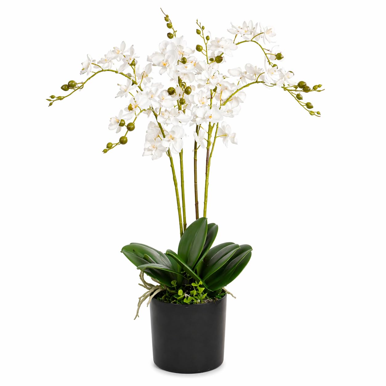 Leaf Design UK Realistic Artificial Orchid Flower Display in Pot, White, 60cm