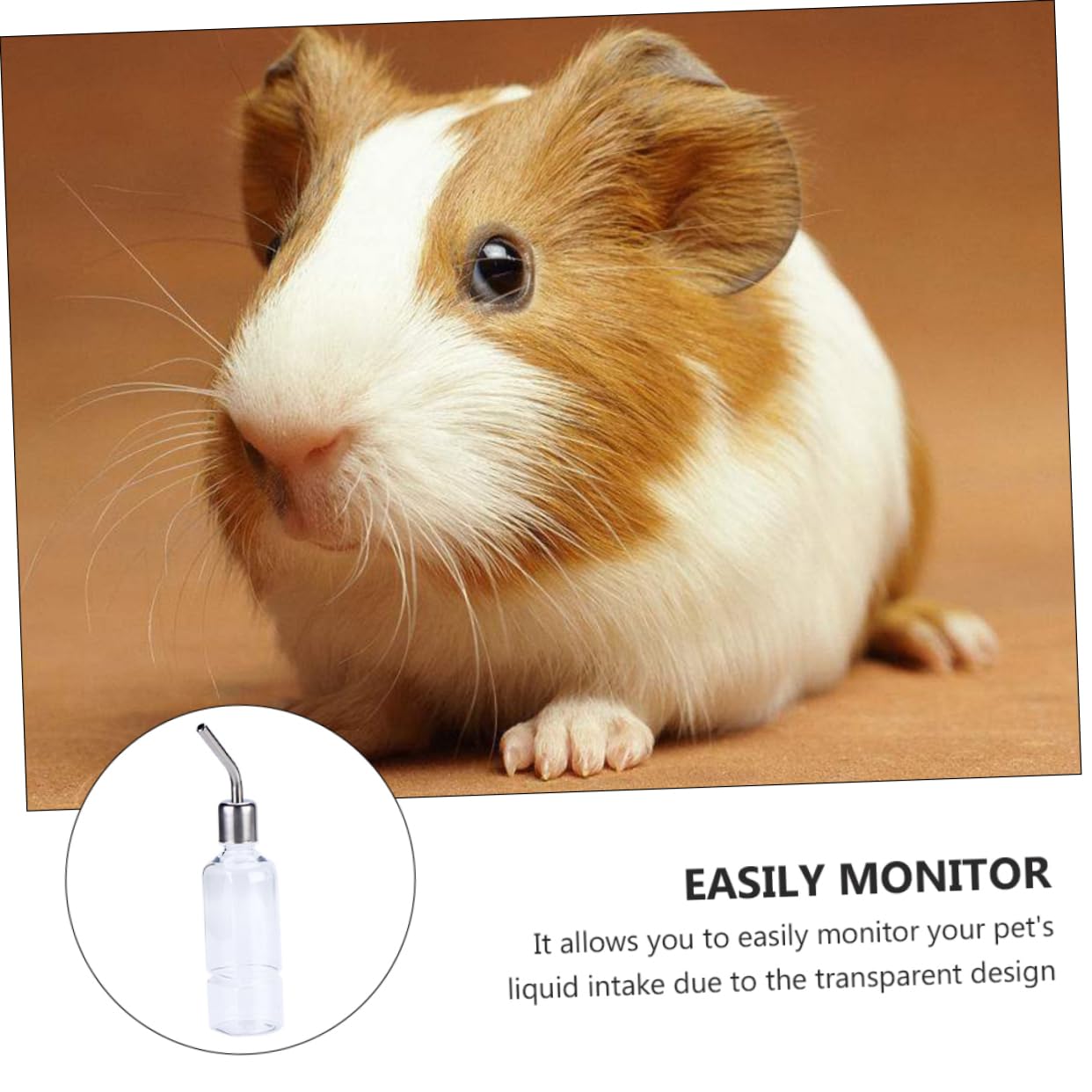 ORFOFE 6pezzi Borraccia Per Animali Domestici Dispenser Appeso Per Conigli Criceti e Porcellini Design Inossidabile Facile Da Installare e Antileak
