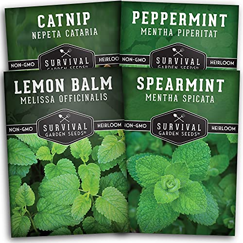 Survival Garden Seeds Mint Collection Seed Vault - Peppermint, Spearmint, Lemon Balm and Catnip Seeds - Grow Herbal Tea & Culinary Herbs - Non-GMO Heirloom Herbs for Outdoor and Indoor Gardens