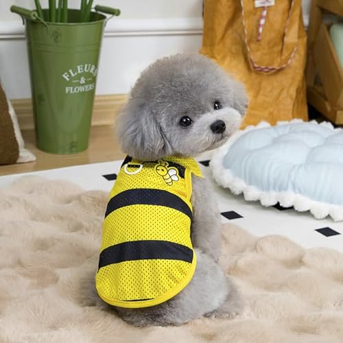 ybǧ xXgpW}JbvW[W ^Ngbv킢 tĂ̕ ϑ