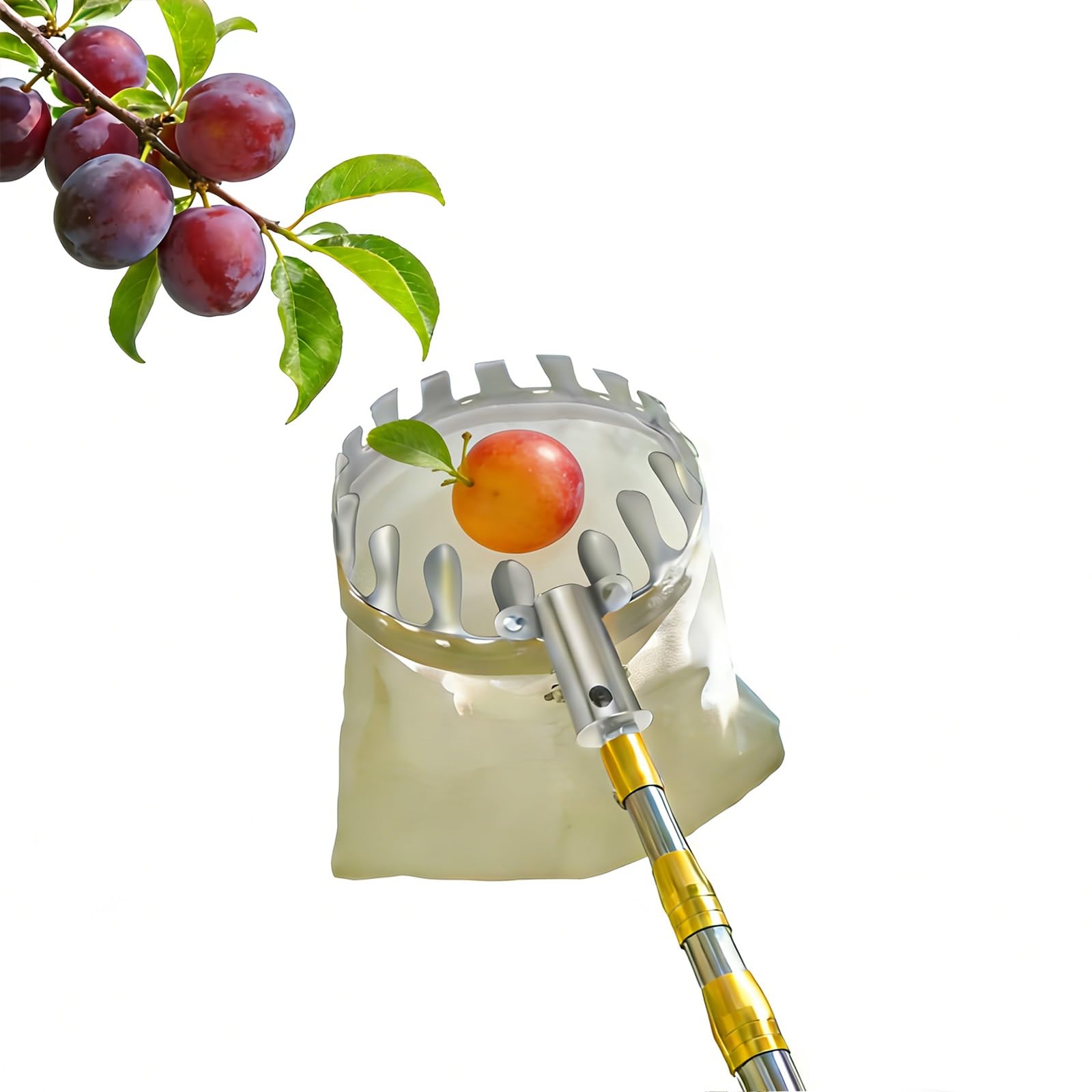 Obstpflücker Mit Teleskopstiel Kirschen Picking Tools Apfelpflücker 2M/4M/6M Erntehelfer Obstsammler Pflaumenpflücker Für Früchte Von Hochgelegenen Orten Pflücken | 7m(23ft)