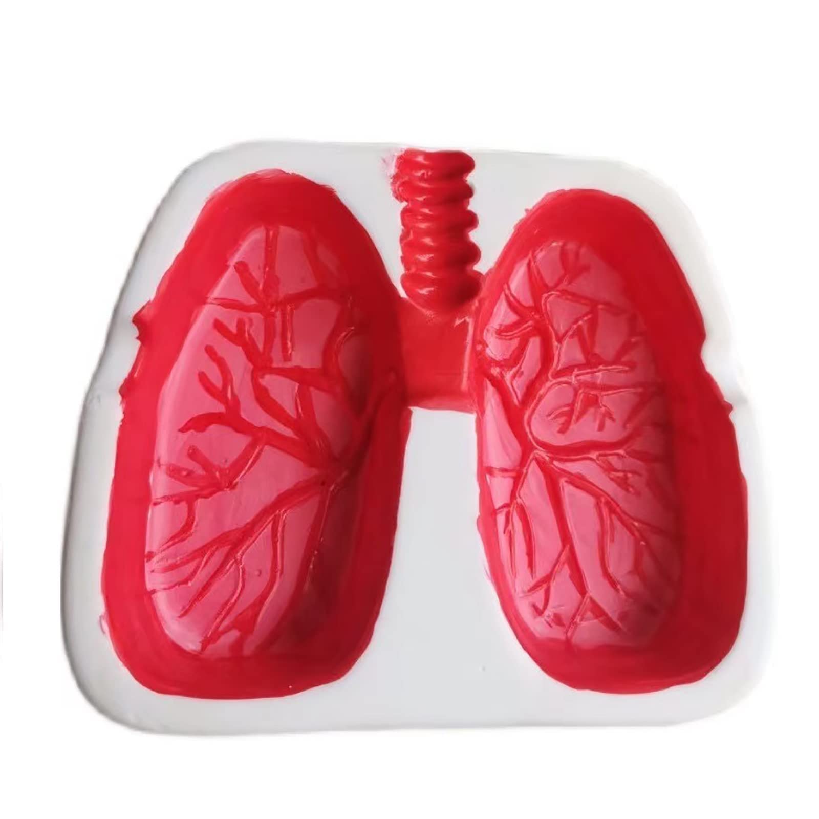 Creative Lung Shape Ashtray Tray Red Funny Ashtray Desktop Home Decoration Handmake Ornaments Decor Birthday for Boyfriend Men Father's Day New Year Gift