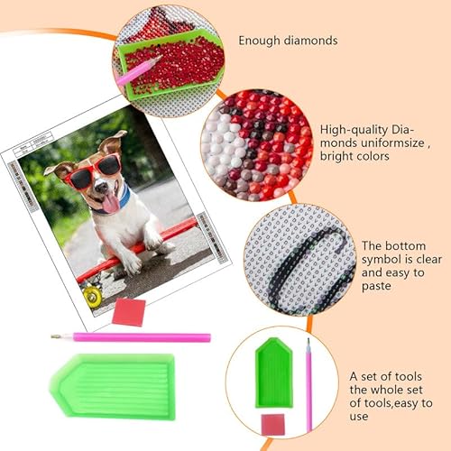 Snewvie Personalised Diamond Painting Art Kits Create Your Own Diamond Painting Custom Full Drill 5D Diamond Painting Kits with Picture for Relaxation and Home Decor(30x30cm)
