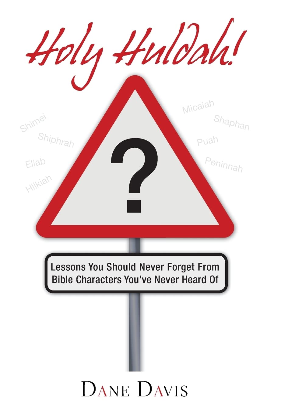 Holy Huldah!: Lessons You Should Never Forget from Bible Characters You've Never Heard of