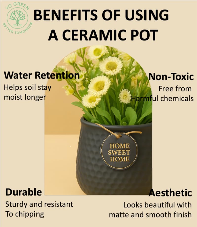 Image of Yo Green Ceramic Plant Pot for Indoor & Outdoor, Modern Planter for Home & Office Decor, Durable, Stylish Finish, Ideal for Tabletop, Shelf, Balcony, Great Gift Idea (Charcoal, 4 Inches)