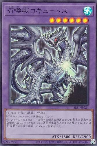 VY SLF1-JP024 bRL[gX ({ X[p[A) SELECTION 5
