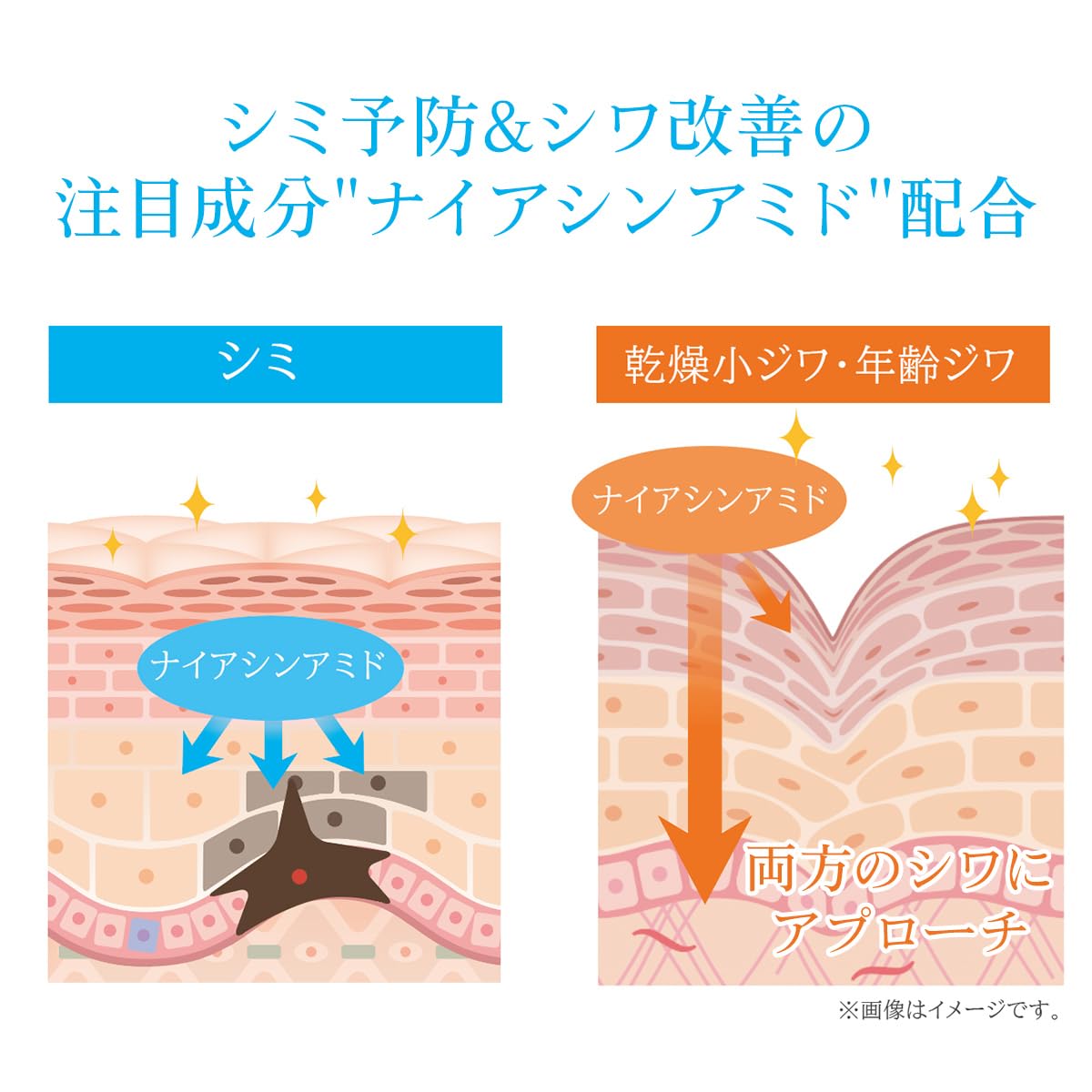 Amazon.co.jp: FTC ラメラゲル メディカルホワイトモイスチャー